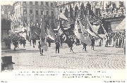 De vlaggen der rechtstreecksche zeevaartlijnen-Lignes r&eacute;guli&egrave;res de navigation