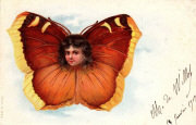 T&ecirc;te dans papillon