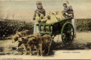 Laiti&egrave;res Flamandes