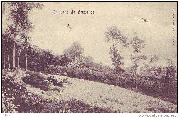 Les environs de Bruxelles, Genval