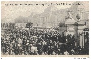 Visite de Arm.Fall!ères président e la République française à SM Albert,roi des Belges(devant le Palais royal)