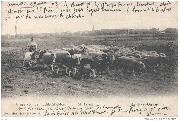 Gruss von den Schlachtfeldern.  St. Privat
