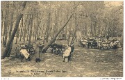 Schoolvilla Diestersweg.Heide-Calmpthout. De school in 't bosch