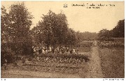 Diestersweg's Openluchtschool te Heide. In den moestuin