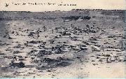 Missions des Pères Blancs au Sahara -Chameaux au paturage Missions des Pères Blancs au Sahara -Chameaux au paturage