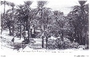 Missions des Pères Blancs Sahara Ouargla Campement dans l Oasis Missions des Pères Blancs Sahara Ouargla Campement dans l Oasis