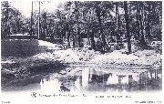 Missions des Pères Blancs Sahara El Goléa Un coin dans l Oasis Missions des Pères Blancs Sahara El Goléa Un coin dans l Oasis