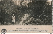 Louveigné. Ravin du chantoix d'Adseux. 