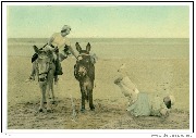 (Hélène Marchéchal à la plage, chute d'un âne)