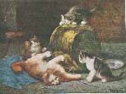 Récréation Chats