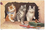 Trois chatons surgissant dans une enveloppe trouée