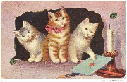 Trois chatons surgissant d'une enveloppe trouée, devant eux une enveloppe cachetée