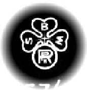 S. Blueh, Wien  Rotophot logo