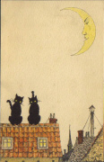 Chats &agrave; la lune