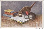 (2 chatons regardant un livre ouvert)