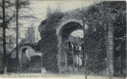 Château de Mariemont. Ruines de la Chapelle (Entrée)