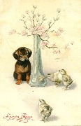 Vase garni de fleurs et chiot regardant 3 poussins