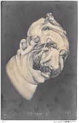 Guillaume II (Arcimboldesque)