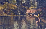 Coll&egrave;ge St Pierre Uccle Bassin de natation