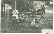 Spa.  Attelage de voiture à Chèvre