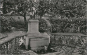 Stanleyville - Fontaine Comte Carton de Wiart