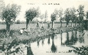 Heide-Calmpthout  Aan de Witte Hoef