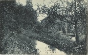 Avernas - Ruisseau du moulin