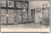Etablissement des Soeurs de Charité de N.D. à Looz-la-Ville-Salle de collections-Collectiezaal