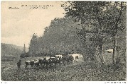 Promenade aux environs d'Arlon Fonds de Frassem