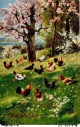 (coqs et poules sous un arbre en fleurs)