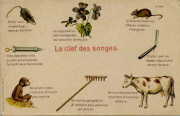 La cl&eacute; des songes. Souris singe vache