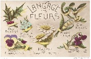 Langage des fleurs