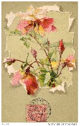 (Roses)