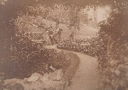 Groupe de Musiciens dans un parc Groupe de Musiciens dans un parc