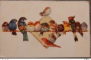 Les petits oiseaux