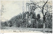 Chateau de Mariemont - Les ruines du Palais des Princes de Lorraine