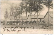 Bourg-Léopold (Camp de Beverloo). Vue de la caserne de Cavalerie