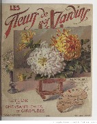 Les Fleurs de nos jardins &eacute;tude de chrysanth&egrave;mes et girofl&eacute;es Album n&deg;2