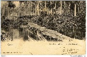 Congo. Vue d'un pont sur la rivi&egrave;re Bombay