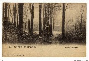 Forêt d'Auderghem Forêt d'Auderghem