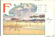 F: Flamingo, Flamant