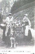 Laiti&egrave;res flamandes