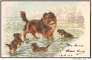 Chienne et trois chiots &agrave; la plage