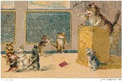 Chats chahuteurs