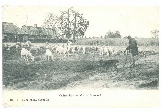 Calmpthout Op de Bessemhei