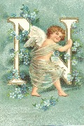Lettre N angelot et myosotis