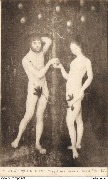 Cranach. Adam et Eve. Musée d'Anvers