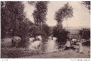 (Paysages des Ardennes. - Virton