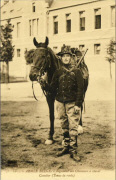 Armée belge. Régiment des Chasseurs à cheval. Cavalier (tenue de route)