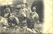 Anvers. Au jardin zoologique. Les aigles